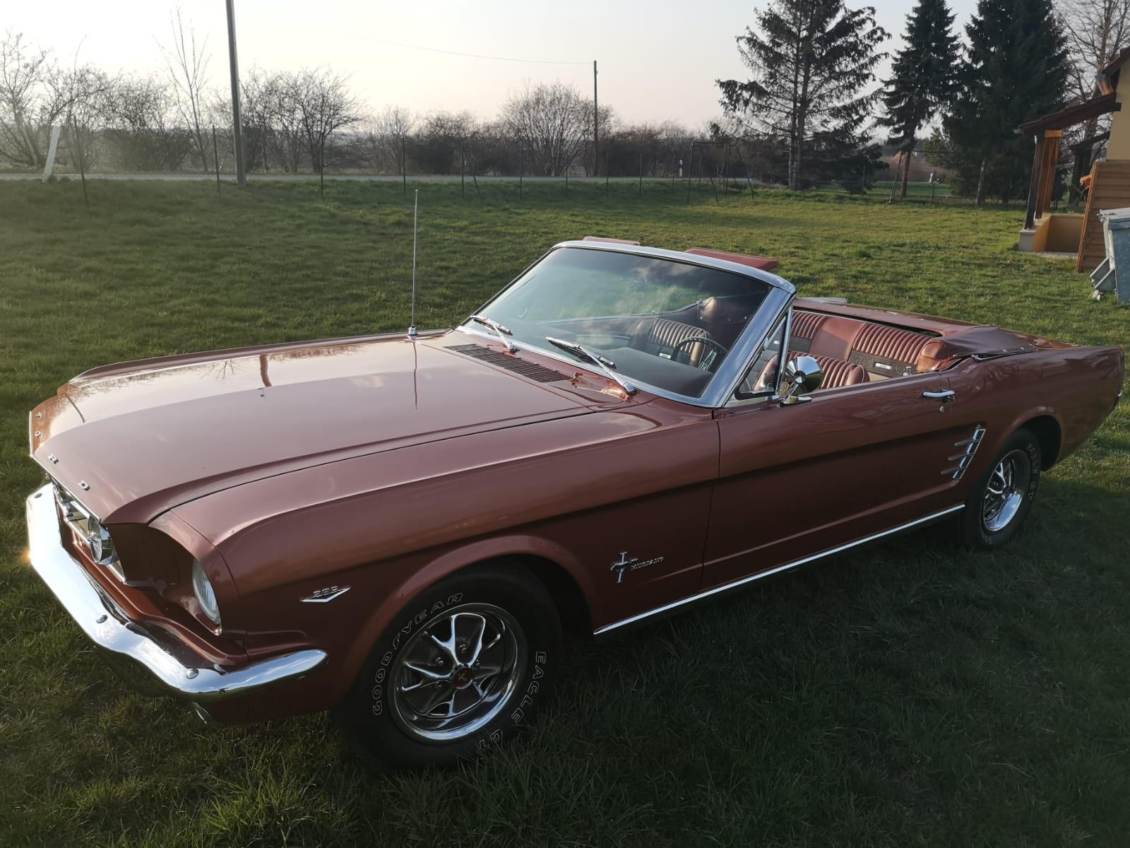 Ford Mustang M289 1966